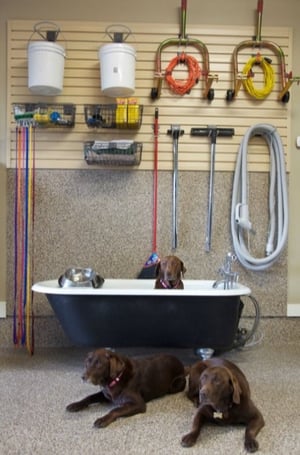 Dog Wash-1